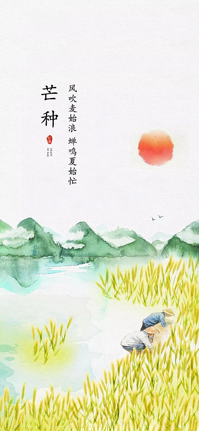 中国传统节气芒种手机海报