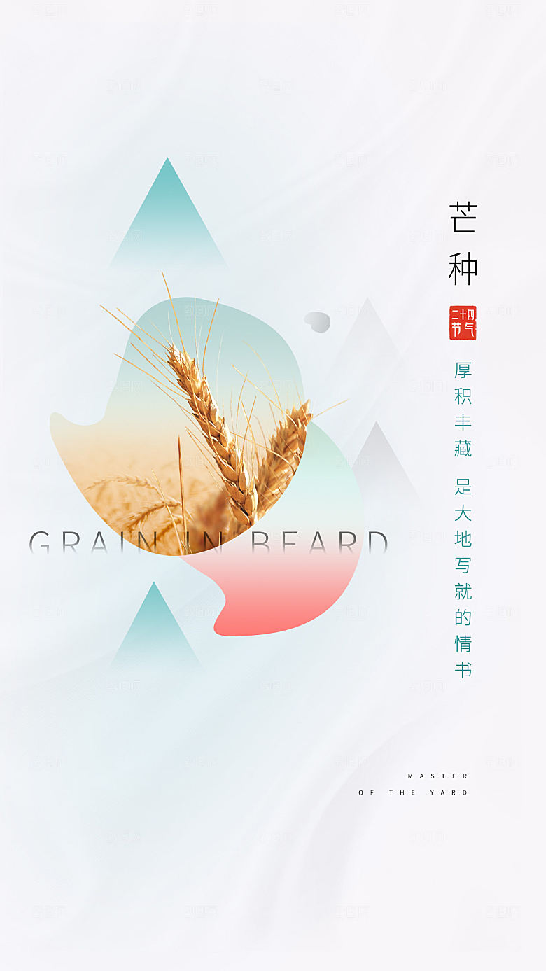 中国传统节气芒种手机海报