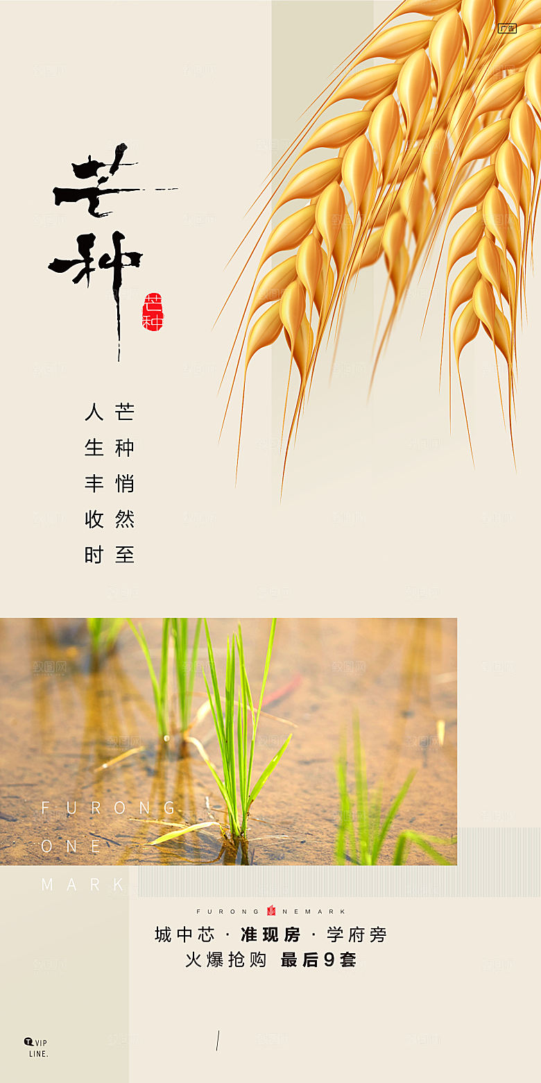 中国传统节气芒种手机海报