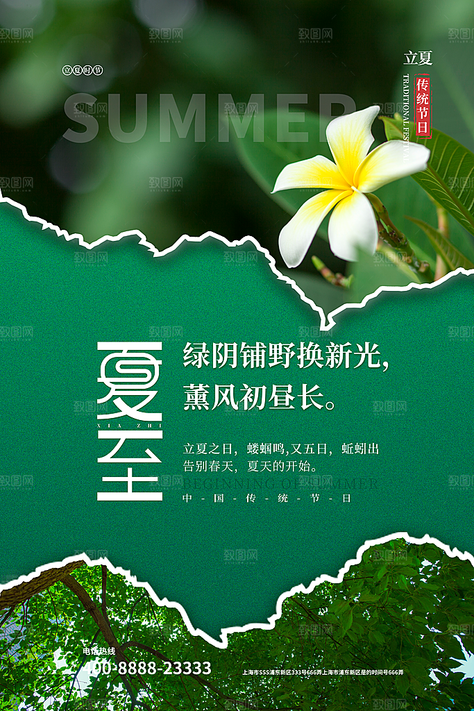 节气夏至节气海报