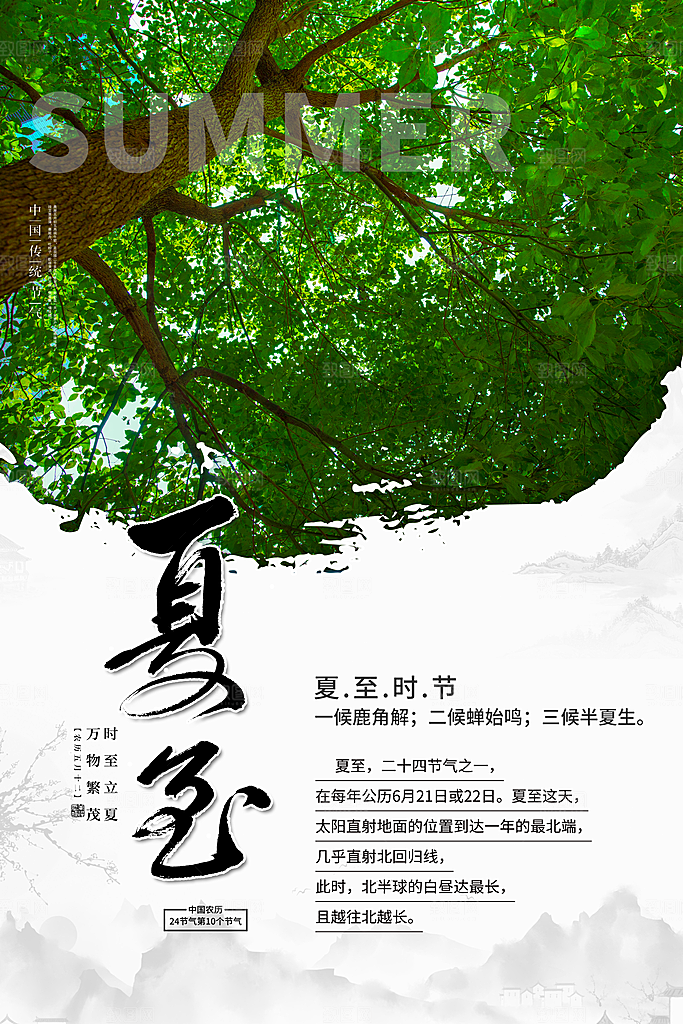 节气夏至节气海报