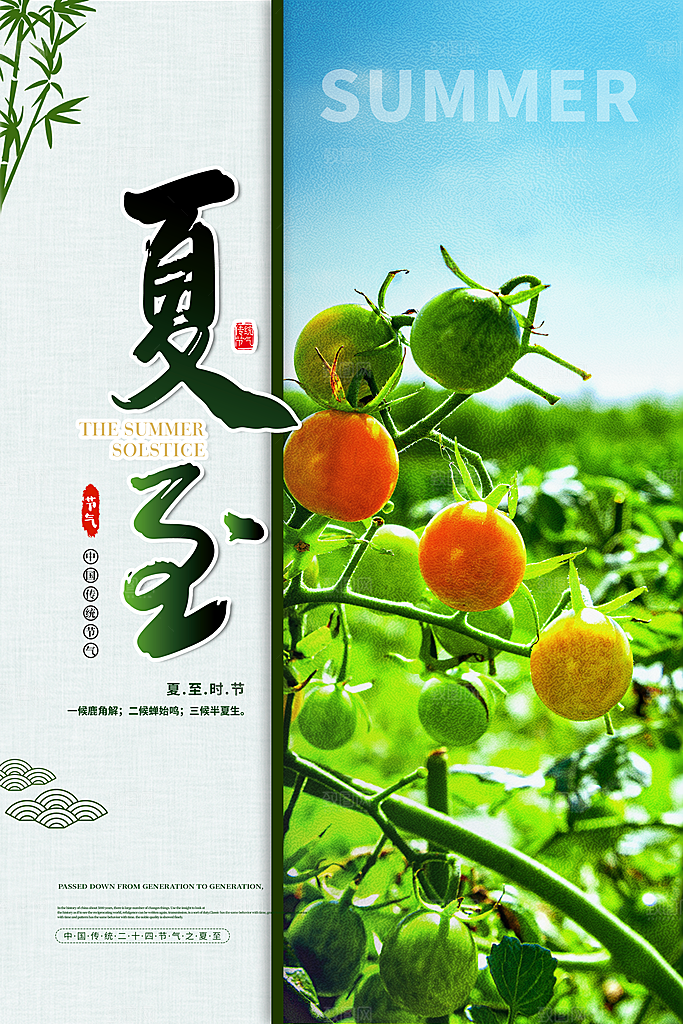 节气夏至节气海报