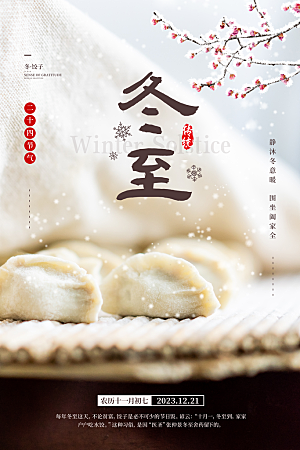 二十四节气之冬至饺子宣传海报