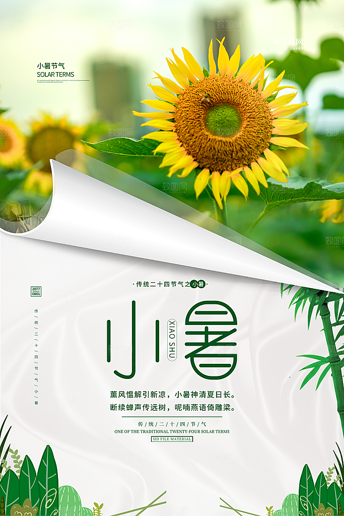 24节气小暑节气海报