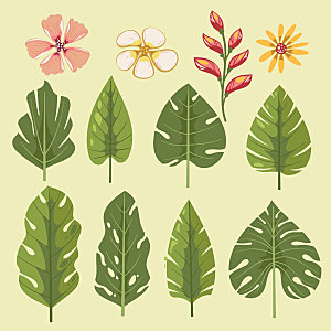 热带花卉与树叶矢量元素