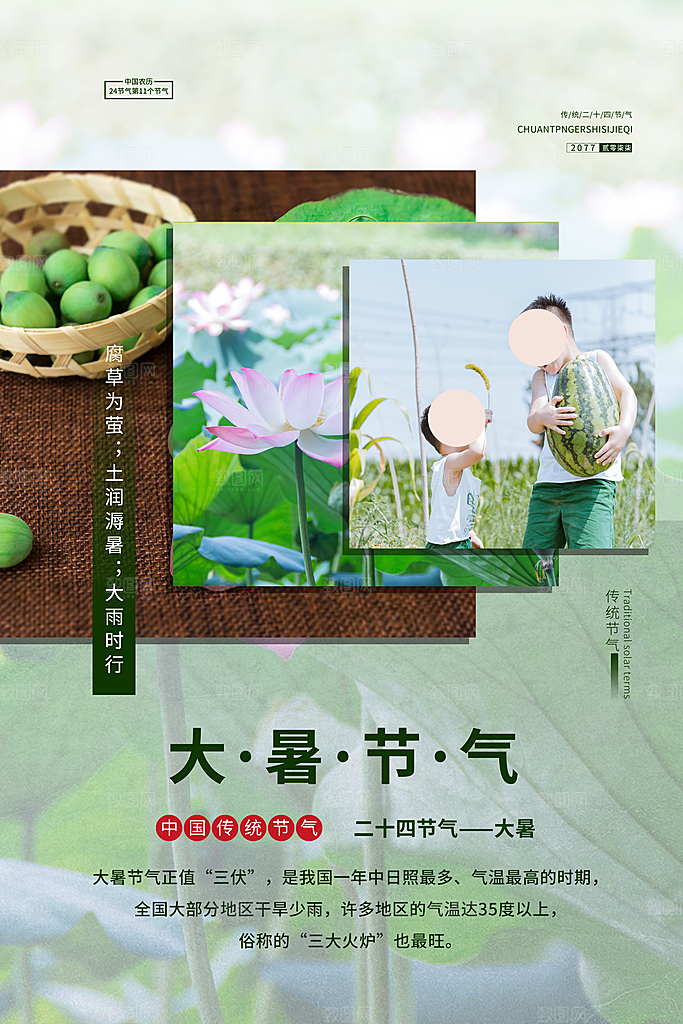 节气大暑节气宣传海报