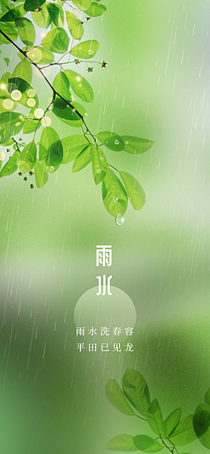 中国传统节气雨水简约手机海报