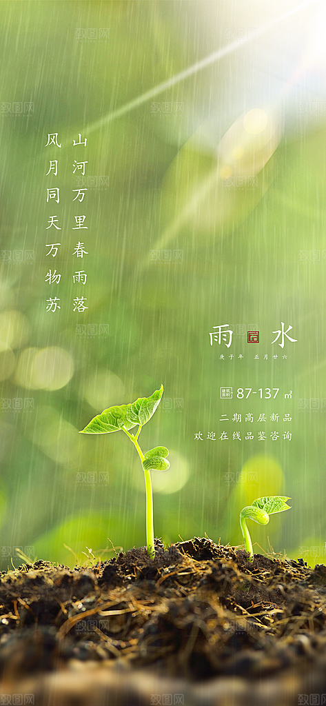 中国传统节气雨水简约手机海报