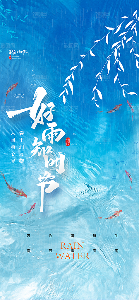 中国传统节气雨水简约手机海报