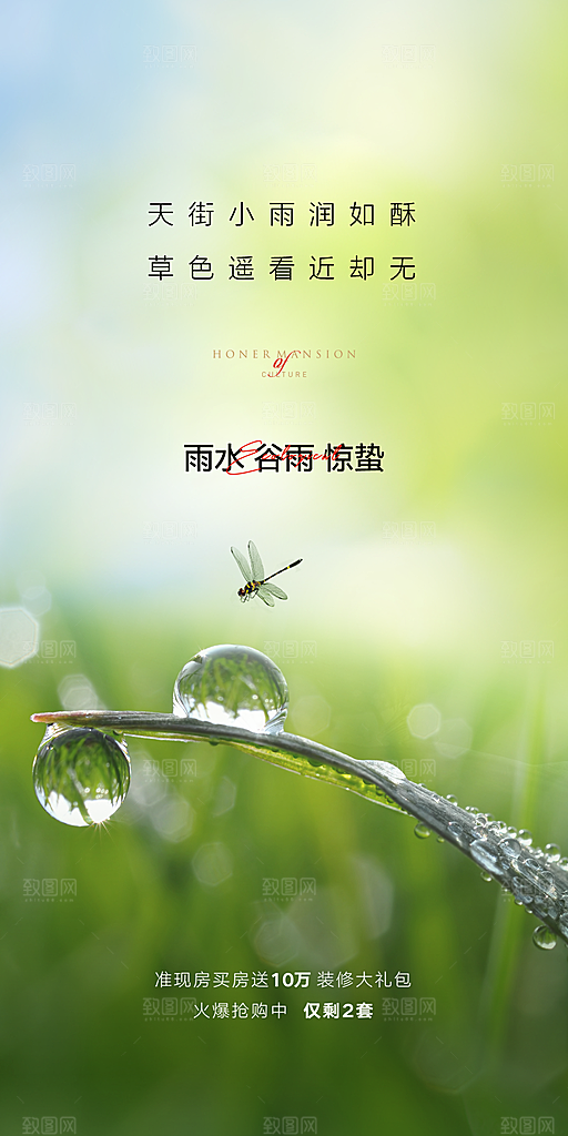 中国传统节气雨水简约手机海报