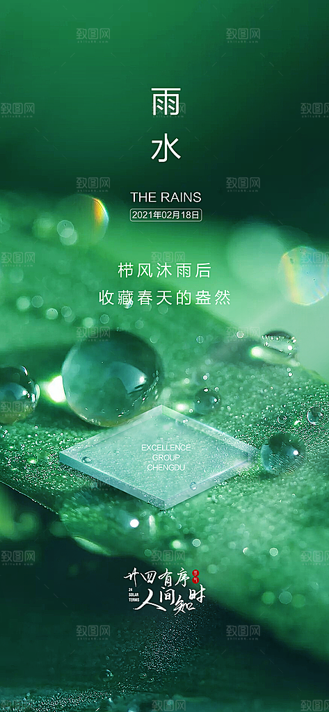 中国传统节气雨水简约手机海报