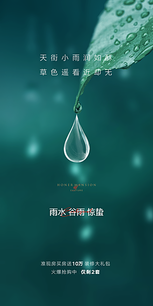 中国传统节气雨水简约手机海报