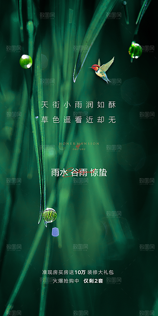 中国传统节气雨水简约手机海报