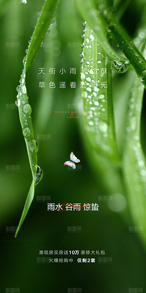 中国传统节气雨水简约手机海报