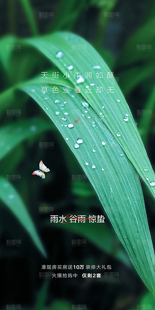 中国传统节气雨水简约手机海报