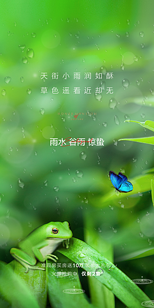 中国传统节气雨水简约手机海报