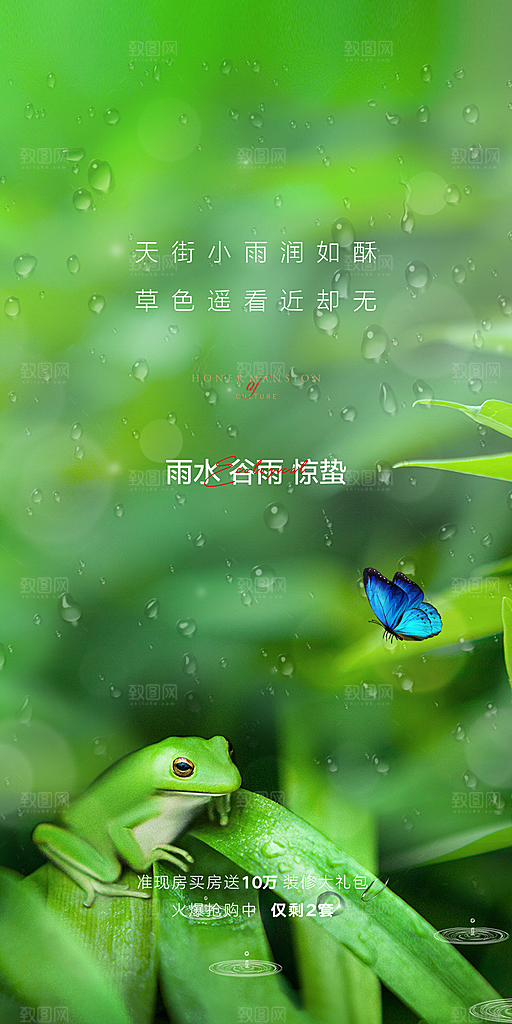 中国传统节气雨水简约手机海报