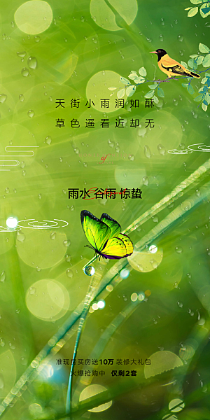 中国传统节气雨水简约手机海报