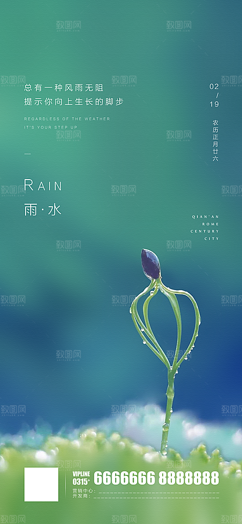 中国传统节气雨水简约手机海报