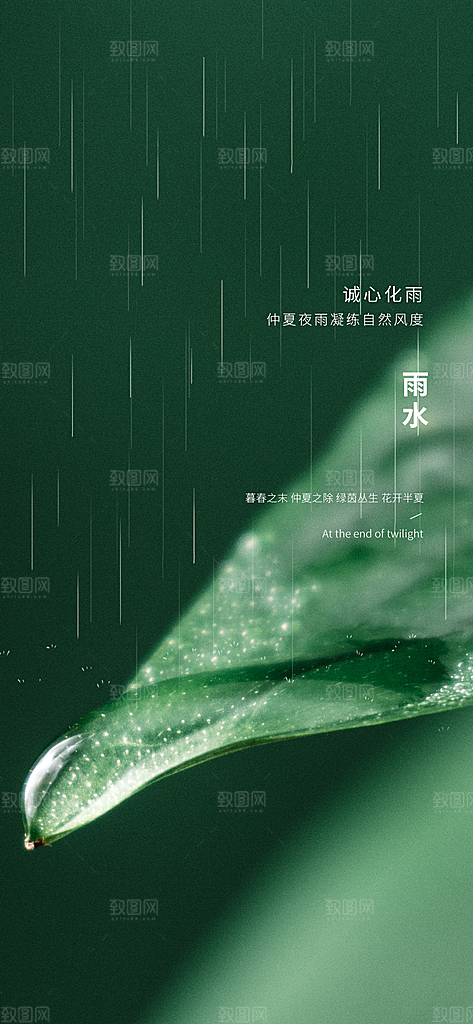 中国传统节气雨水简约手机海报