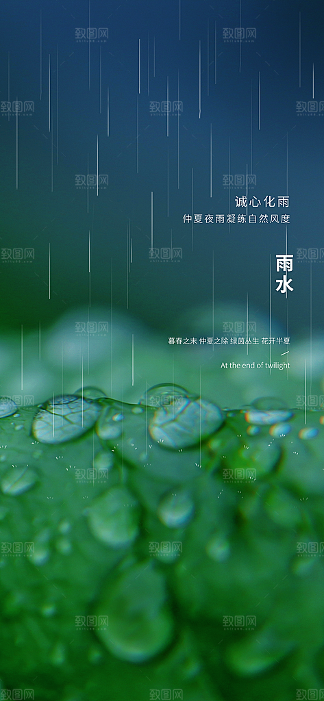 中国传统节气雨水简约手机海报