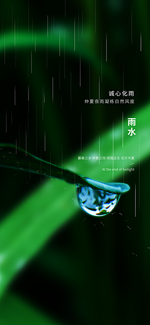 中国传统节气雨水简约手机海报