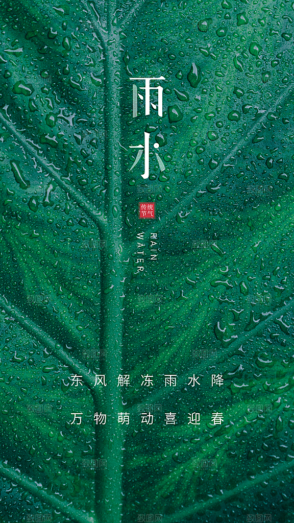 中国传统节气雨水简约手机海报