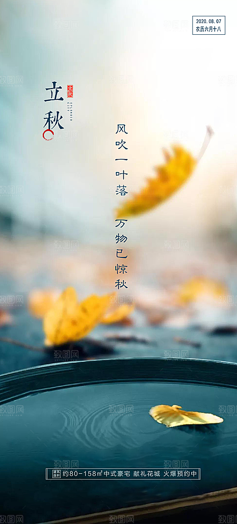 中国传统节气立秋简约手机海报