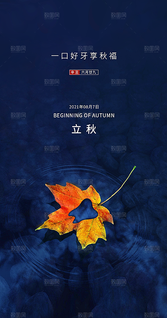 中国传统节气立秋简约手机海报