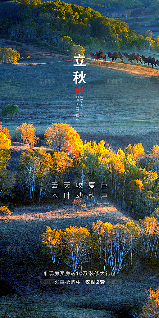中国传统节气立秋简约手机海报