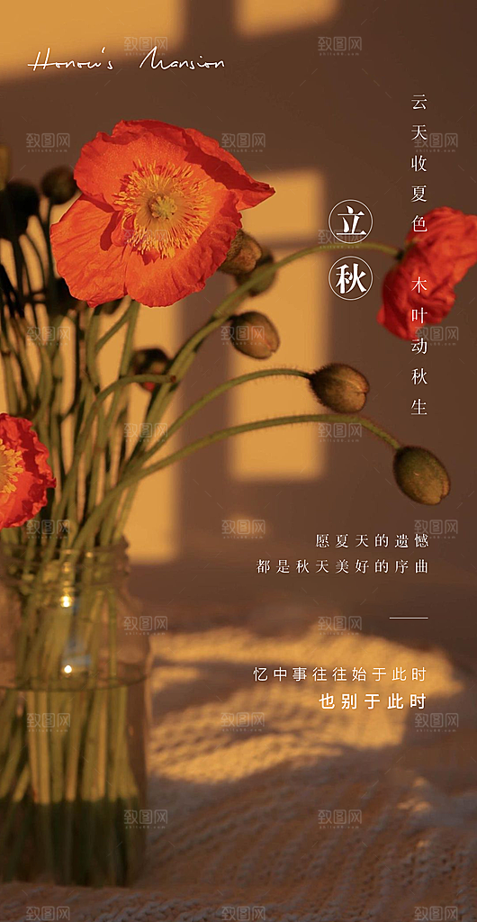 中国传统节气立秋简约手机海报