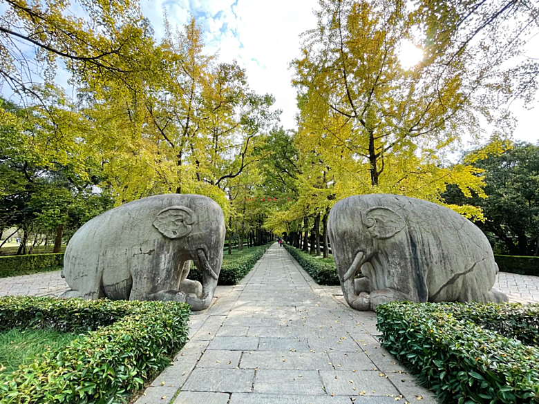 图南京明孝陵石象路