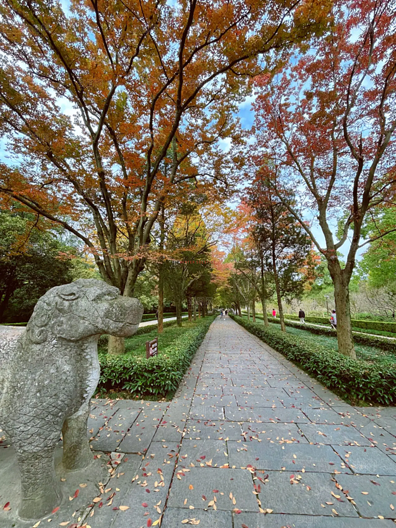 南京明孝陵石象路