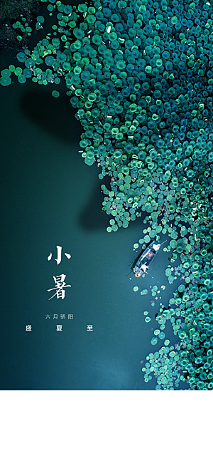 中国传统节气小暑手机海报