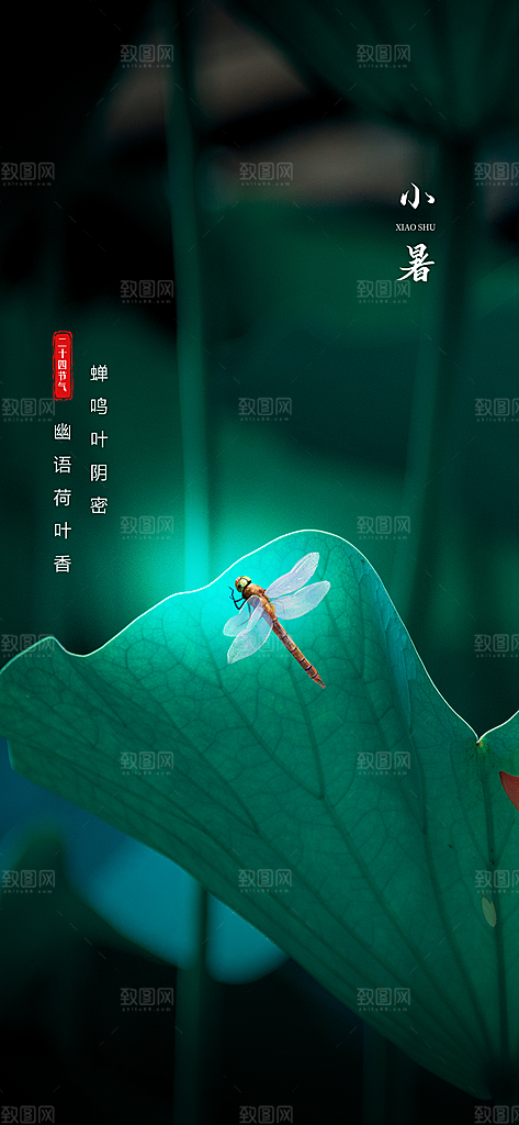 中国传统节气小暑手机海报