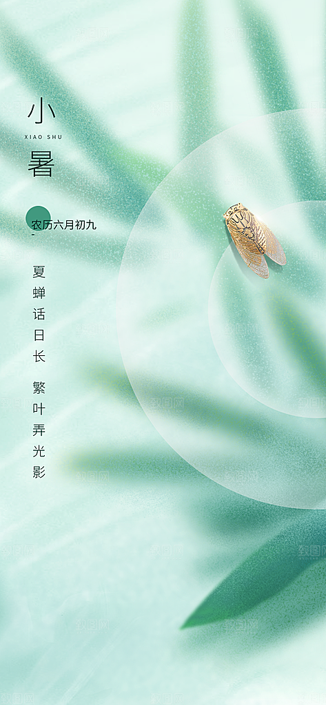 中国传统节气小暑手机海报