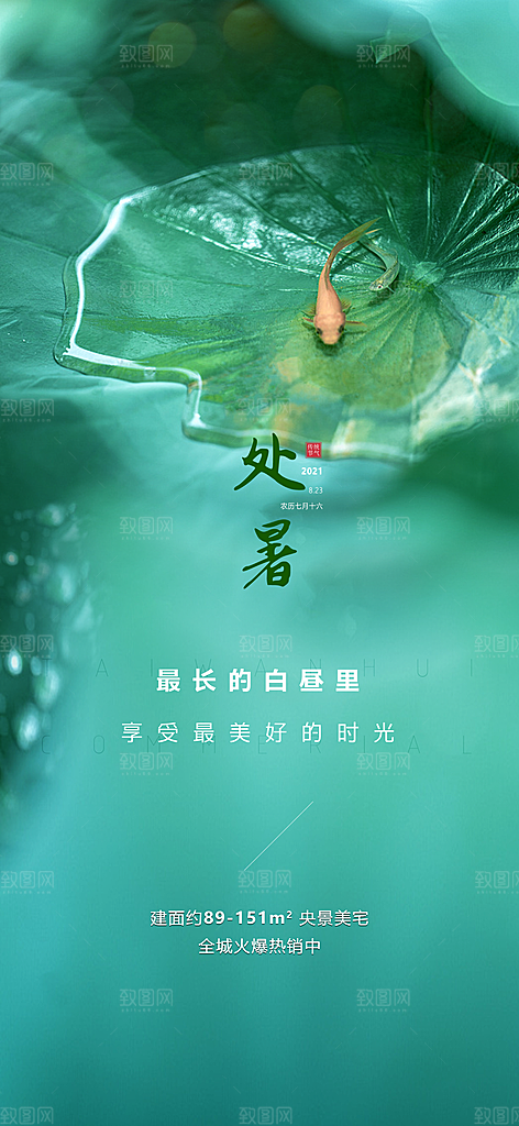 中国传统节气处暑手机海报