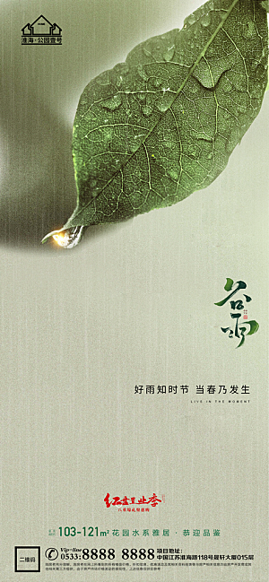 谷雨宣传推广海报