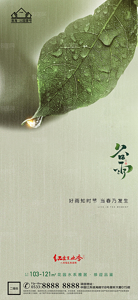 谷雨宣传推广海报