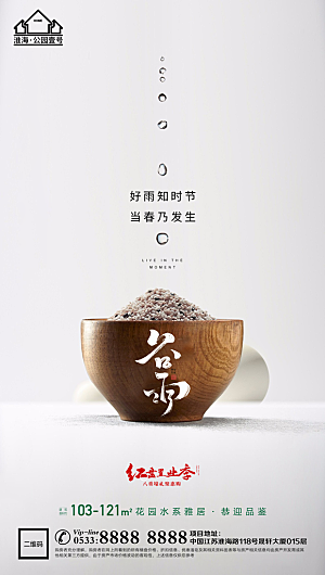 谷雨宣传推广海报