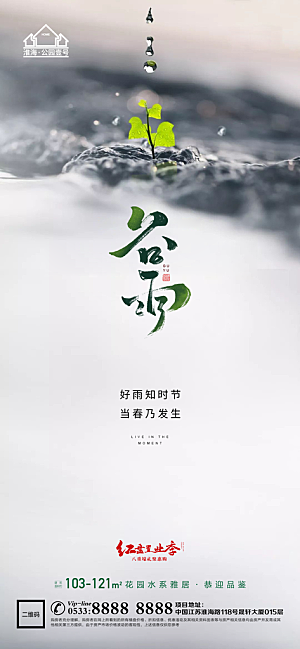 谷雨宣传推广海报