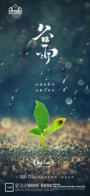 谷雨宣传推广海报