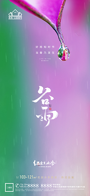 谷雨宣传推广海报