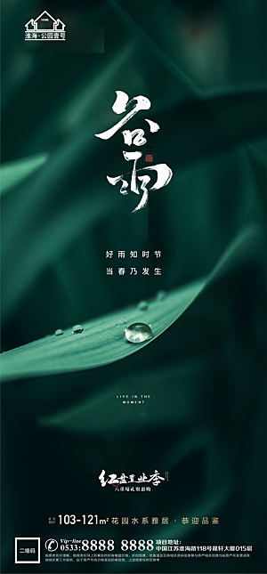 谷雨宣传推广海报