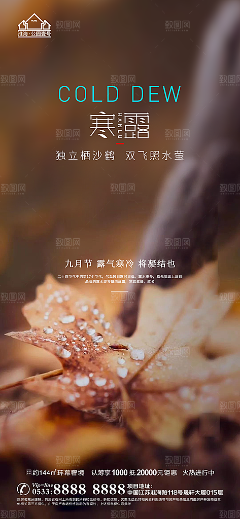 寒露推广宣传海报