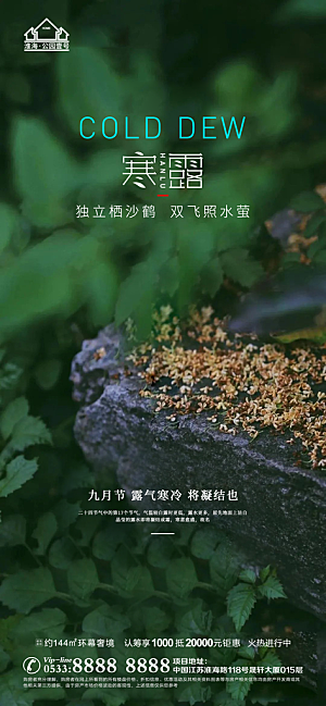 寒露推广宣传海报