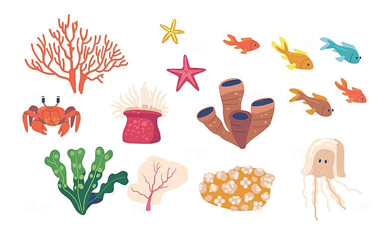 海洋生物矢量元素