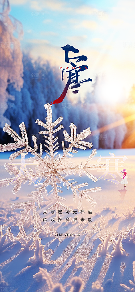 地产大寒节气简约大气海报