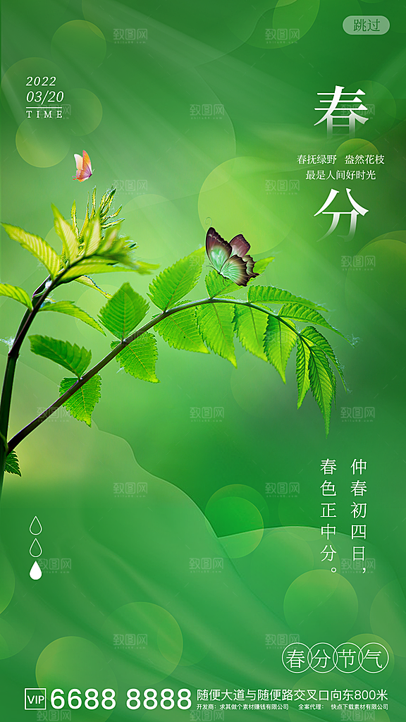 春分节气设计素材海报展板