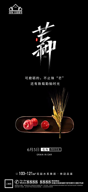 芒种推广宣传海报